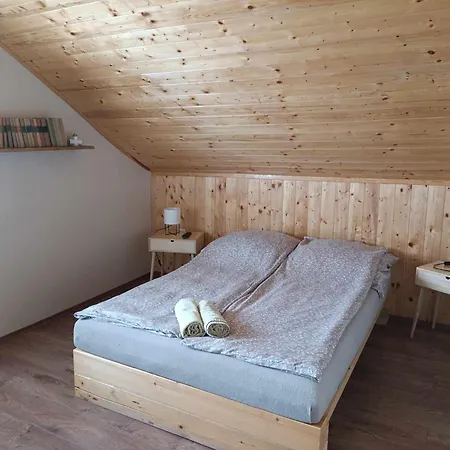 Nyirfas 3* 나지카니자