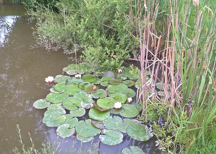 مكان تخييم Nyirfas 3*