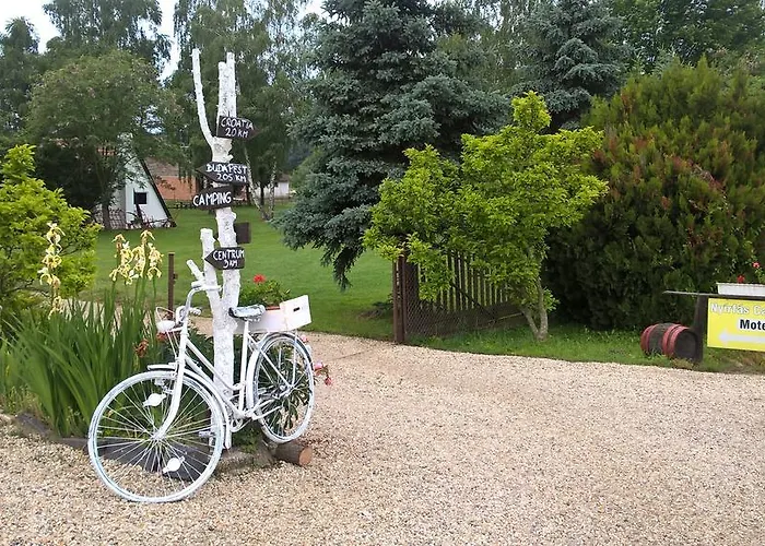 キャンプ場 Nyirfas