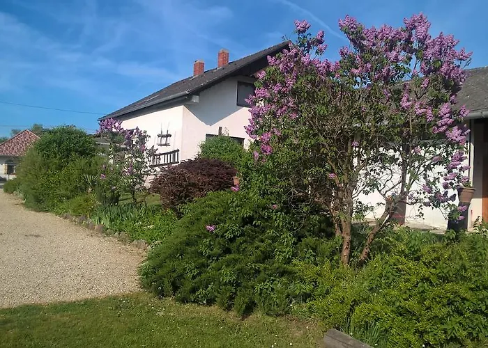 Nyirfas نايغكانيشا